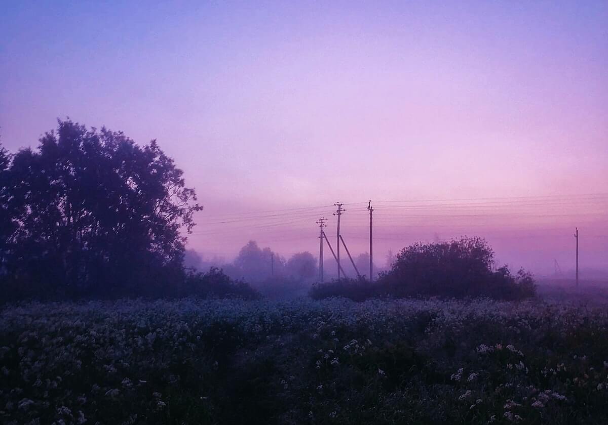 爱游戏中国站-乐鱼官网：娱乐新纪元的全方位体验